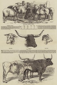 Smithfield Kulübü by Harrison William Weir